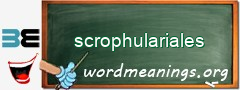 WordMeaning blackboard for scrophulariales